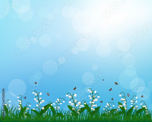 Fototapeta Naklejka Na Ścianę i Meble -  Lilies of the valley