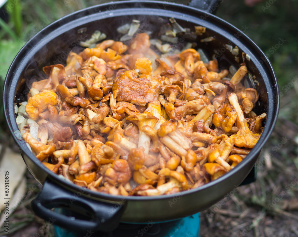 chanterelle mushrooms fried in a pan chanterelle mushrooms fried in a pan