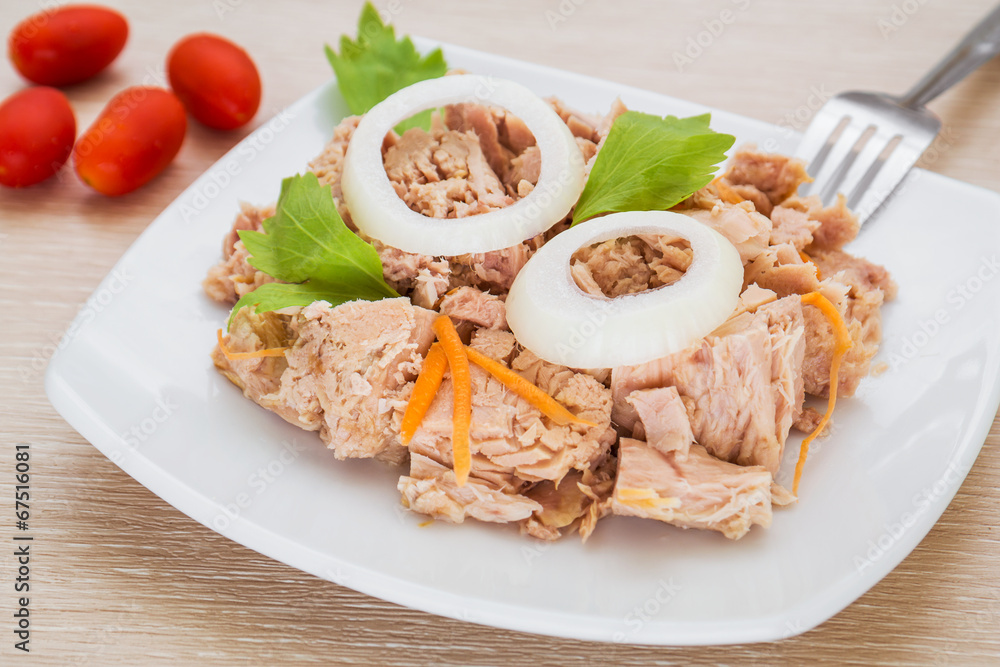 Canned tuna fish on white dish Canned tuna fish on white dish