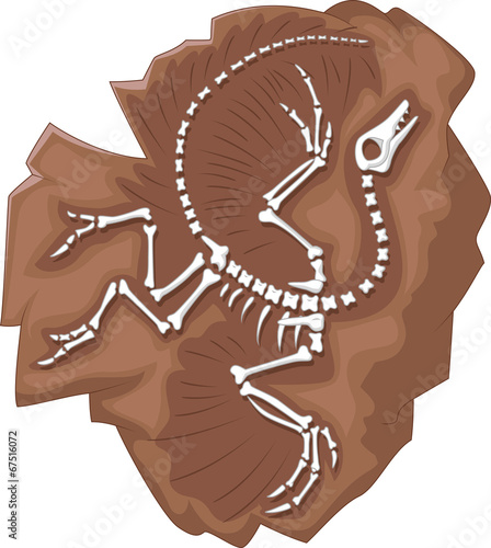 Cartoon Archeopteryx fossil