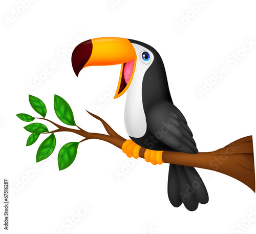 Cute toucan bird cartoon