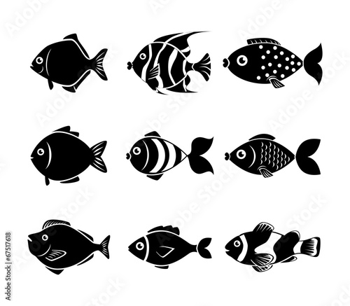Fish design