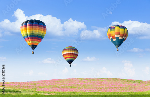 Hot air balloon over pink cosmos fields with blue sky background