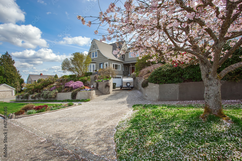 House exterior with blooming cherry tree