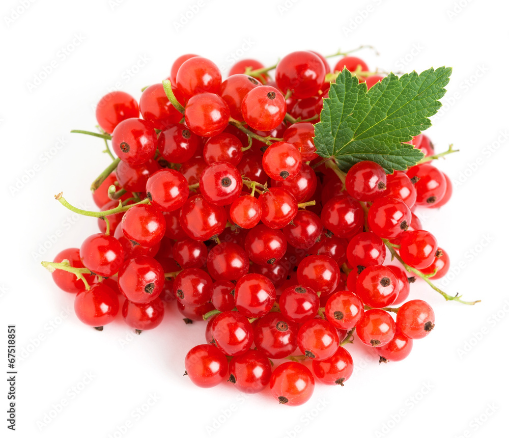 Red currants Red currants