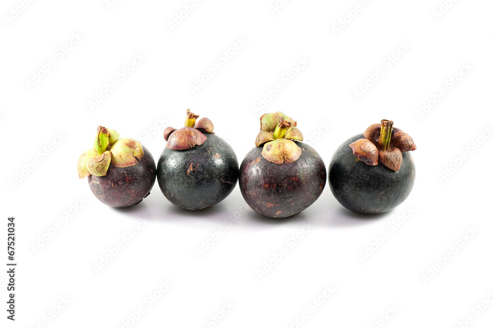 mangosteen mangosteen