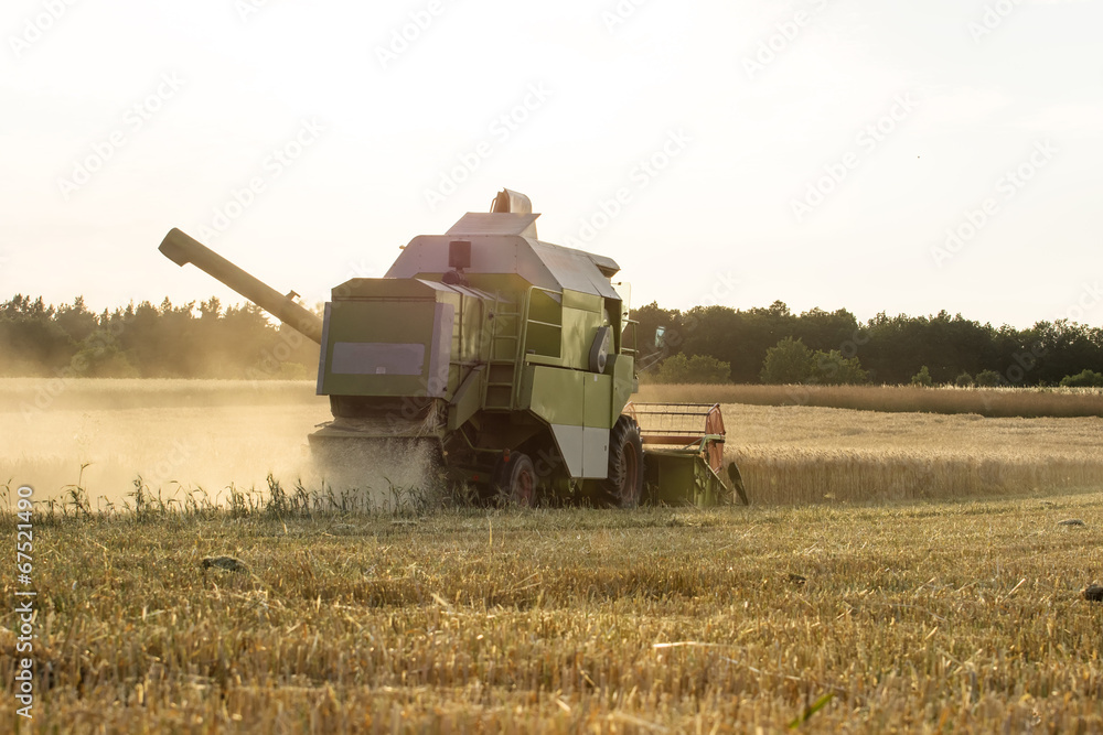 Fototapeta premium farmer at work