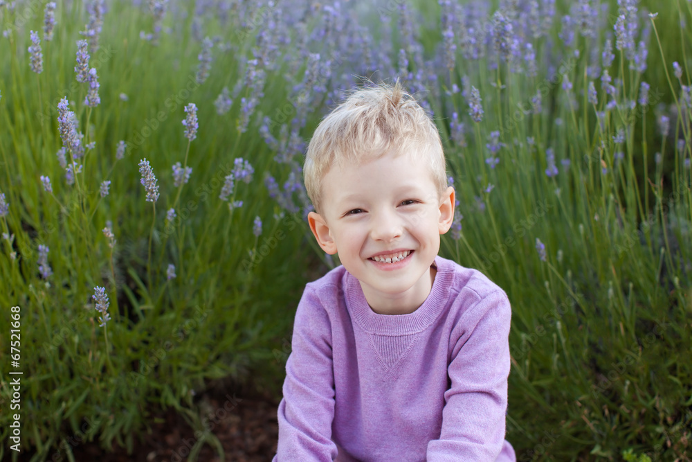 boy at lavender field boy at lavender field