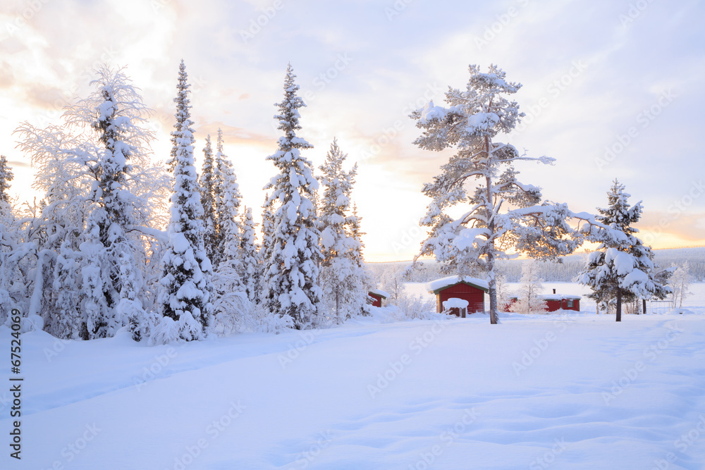 Obraz premium Winter landscape