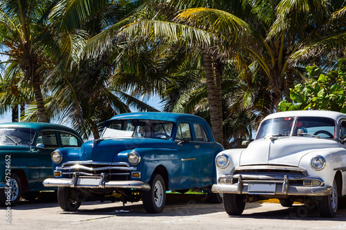 Kuba Oldtimer parkend unter Palmen