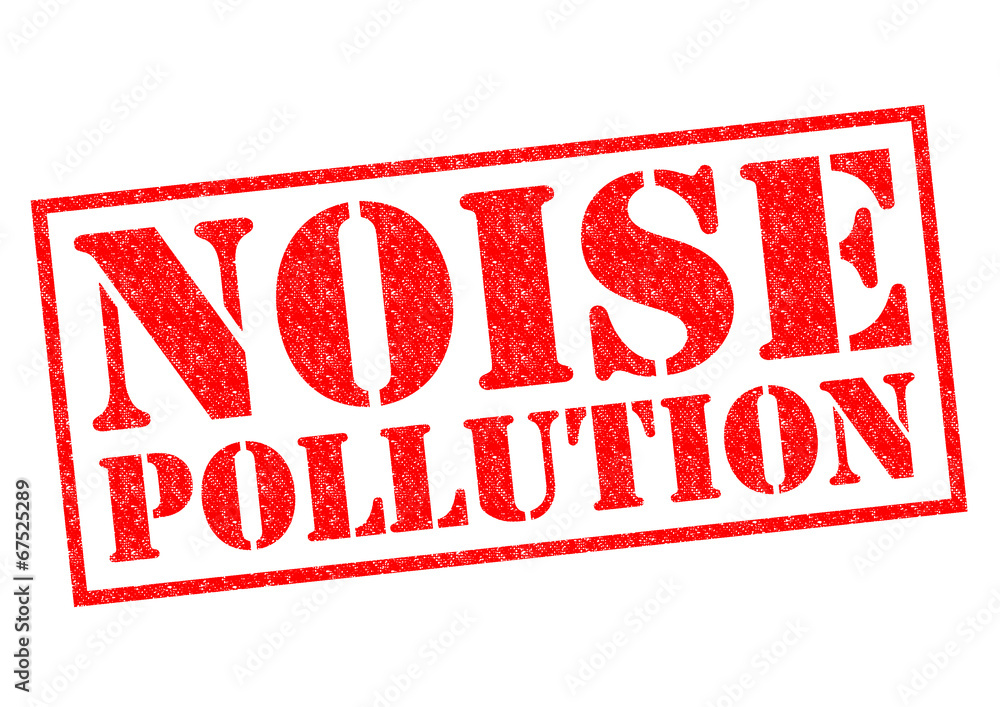 NOISE POLLUTION NOISE POLLUTION
