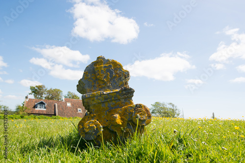 Grave yard at Dutch Terschelling photo