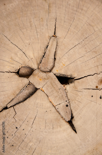 Pattern of wood