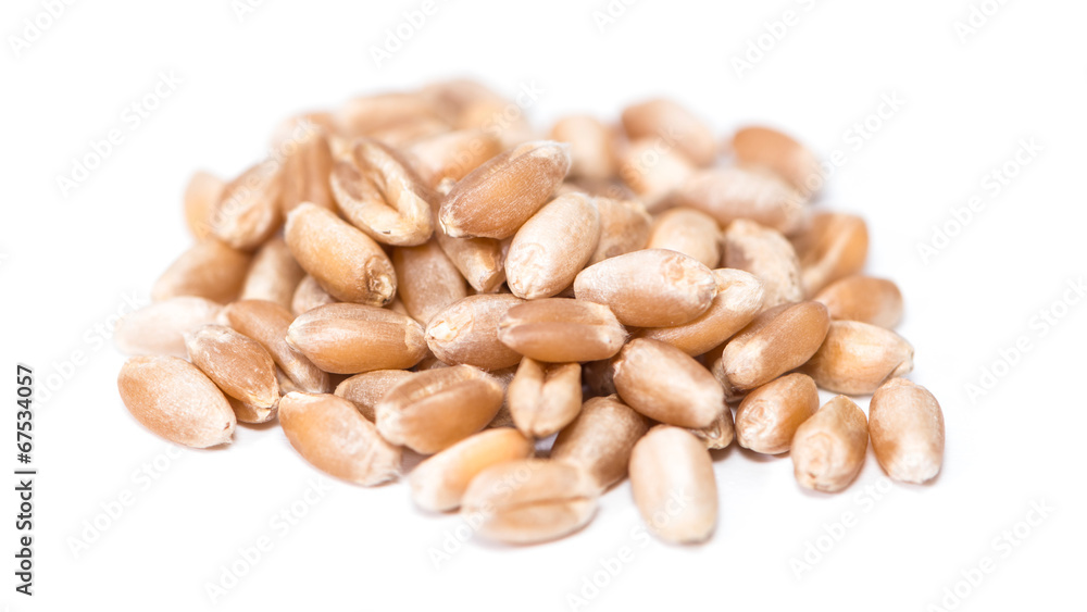 Wheat Grains (isolated on white)