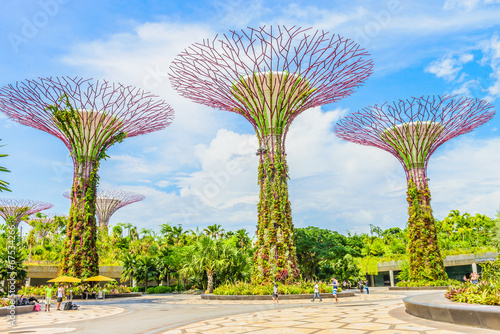 Garden by the bay