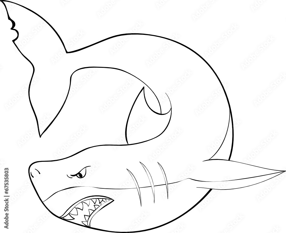 Hai Ausmalbild Stock Vector | Adobe Stock