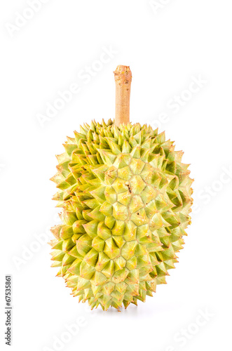 Durian fruit isolated white background