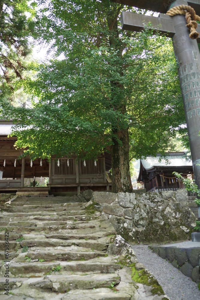 諏訪大社上社前宮 十間廊への石段 諏訪大社上社前宮 十間廊への石段