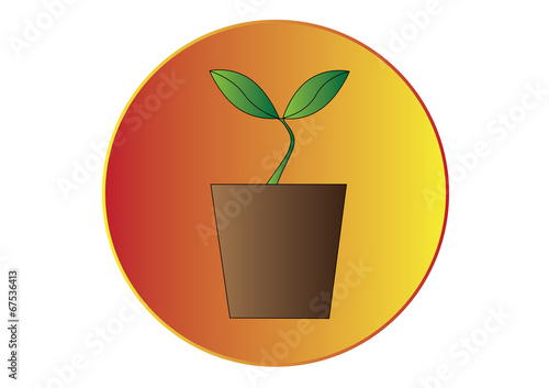 PLANT AND SUN