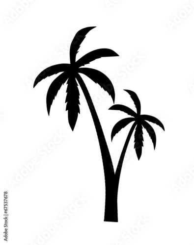 Palm silhouette #67537678