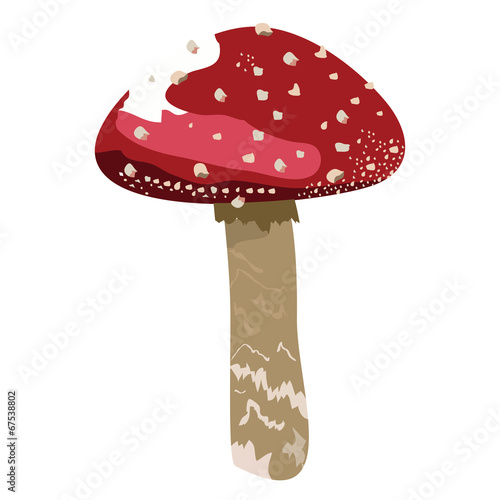 Red mushroom