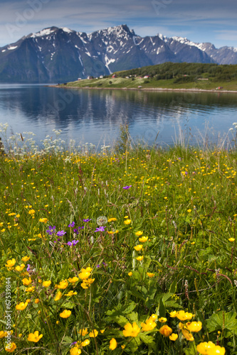 Beautiful Norwegian landscape