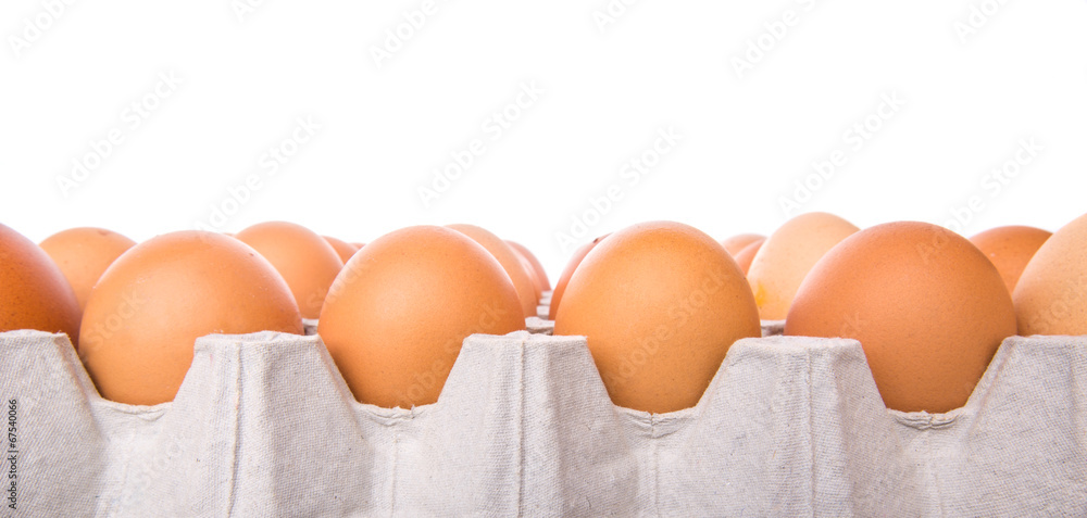 Chicken eggs in egg carton Chicken eggs in egg carton