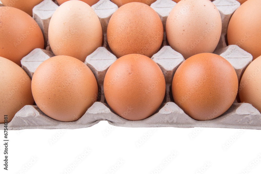 Chicken eggs in egg carton Chicken eggs in egg carton