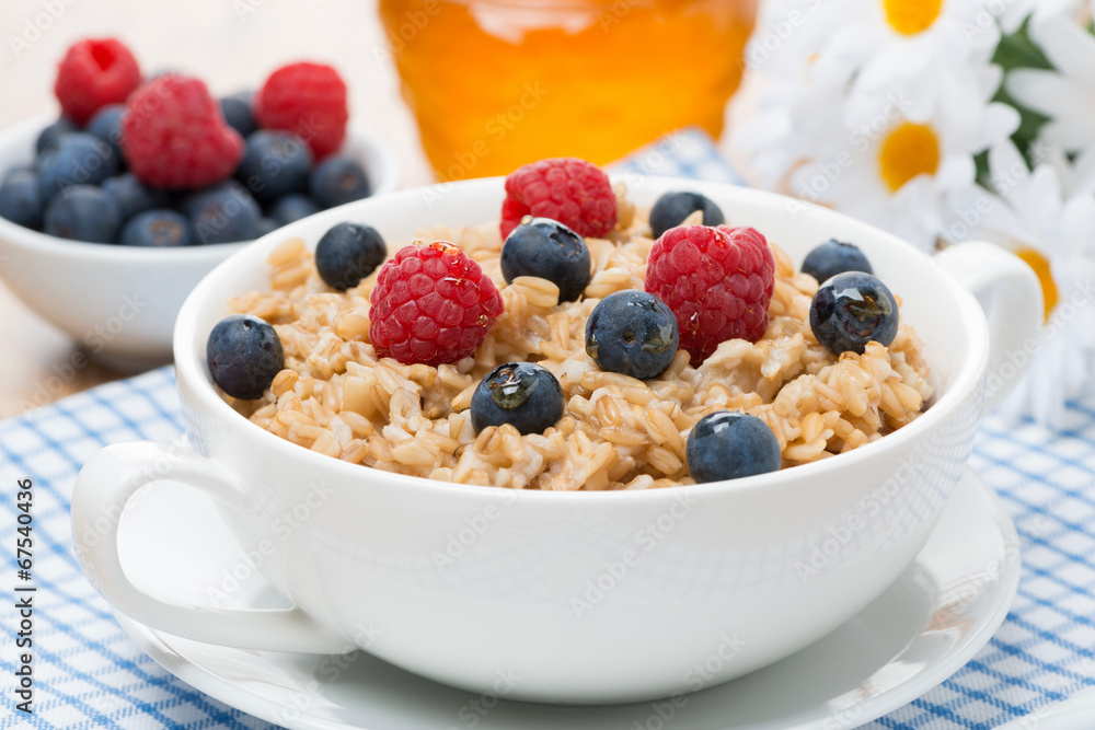oat porridge with berries, close-up oat porridge with berries, close-up