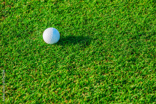 Golf club. Green field and ball in grass