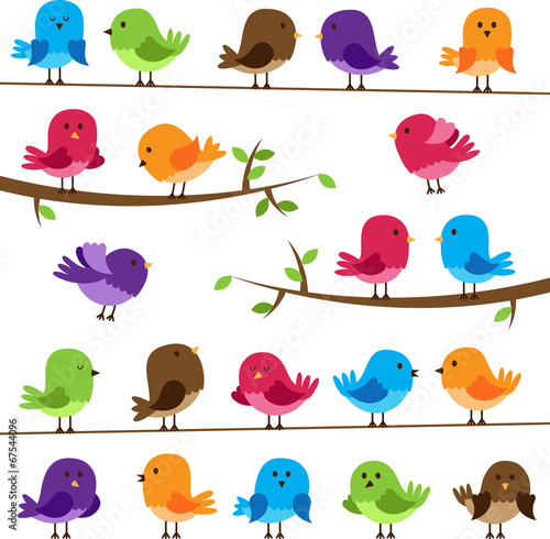 Vector Set of Colorful Cartoon Birds