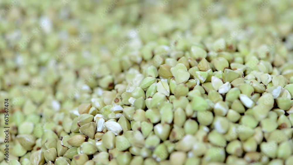 Buckwheat Background video (not loopable) Buckwheat Background video (not loopable)