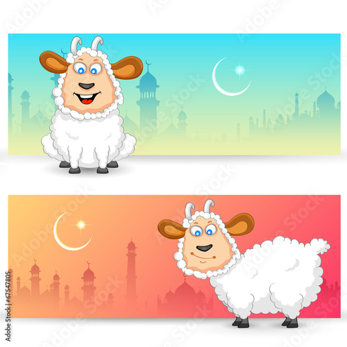 Sheep wishing Eid mubarak