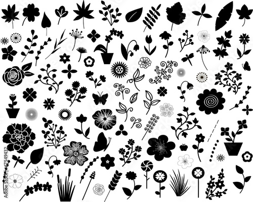 Fototapeta Naklejka Na Ścianę i Meble -  set flowers and floral elements