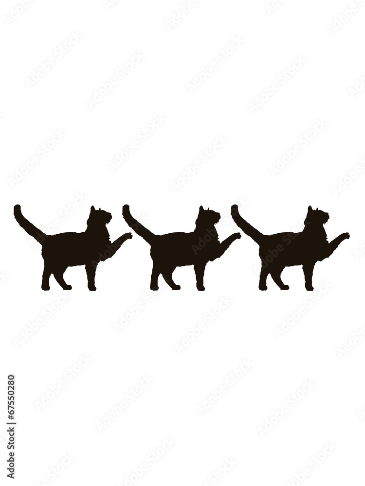 3 marschierende stolzierende Cats Team Freunde 3 marschierende stolzierende Cats Team Freunde