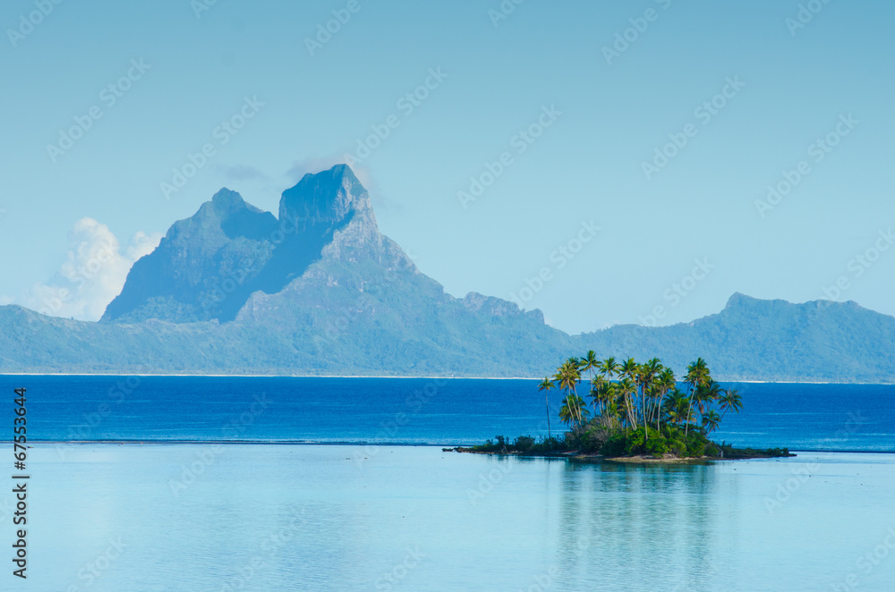 Naklejka premium Island with palm trees in the South Pacific