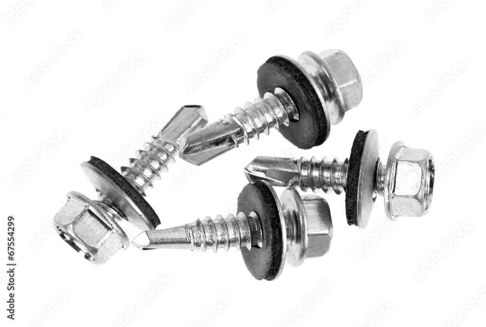 Fototapeta premium Rubber bonded sheet metal screws