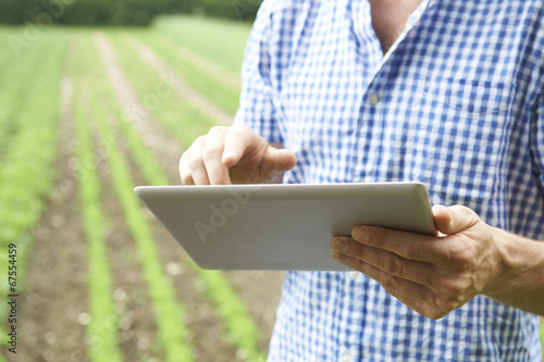 Close Up Of Farmer Using Digital Tablet On Organic Farm