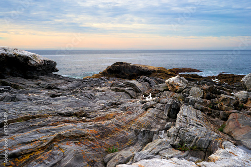 Rocky ledges and Atlantic Ocean © Bert Folsom