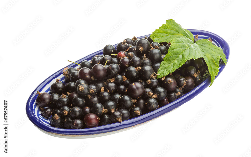 Black currant Black currant