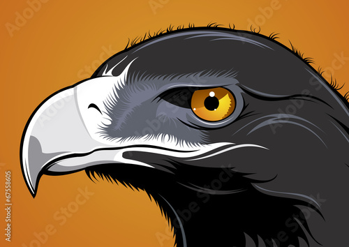 Angry Eagle