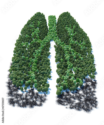 Tree with form of human lung patients ver 1