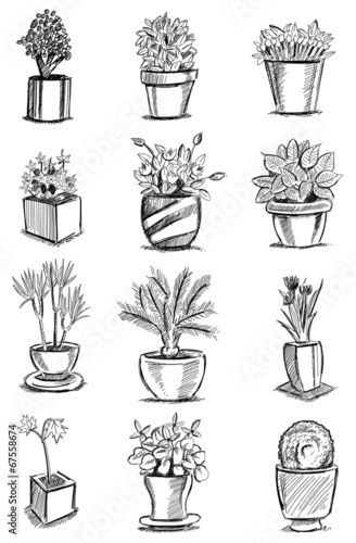 Grey Pots