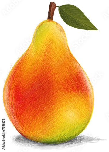 Fresh Pear