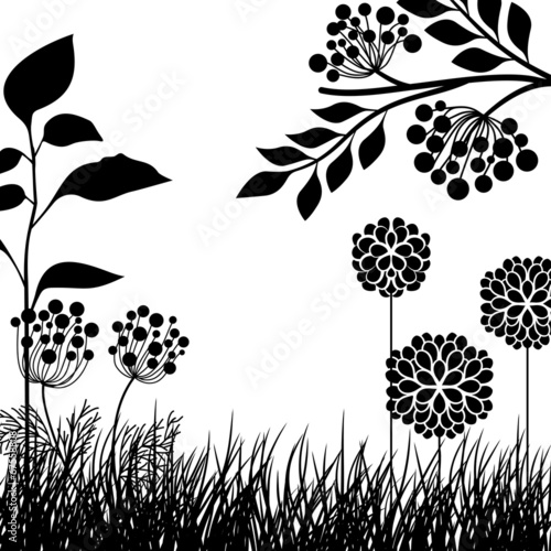 Meadow plants and flowers