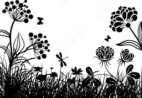 Meadow plants VII