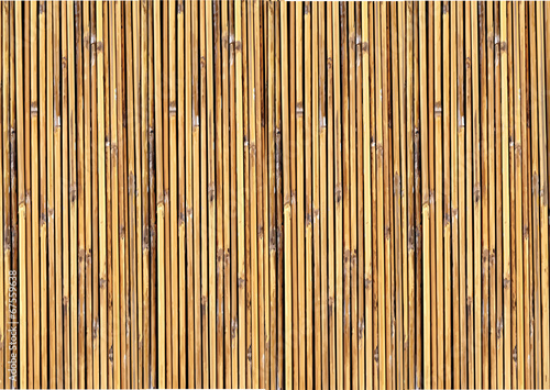 Bamboo background illustration