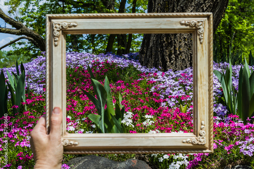 Fototapeta Naklejka Na Ścianę i Meble -  framing a garden