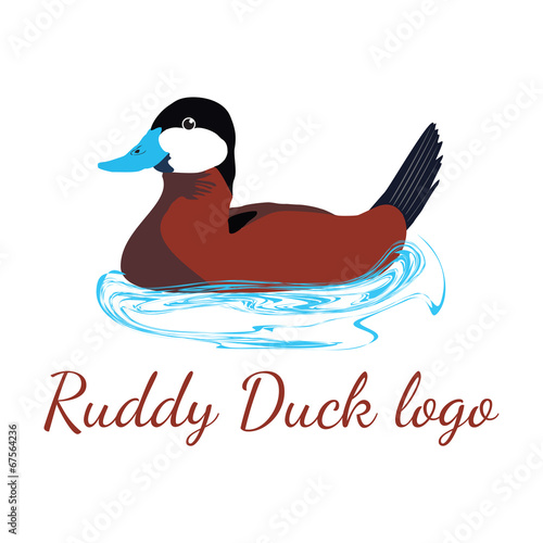 Valokuva Ruddy Duck logo
