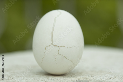 Fresh hard boiled eggs with shell. photo